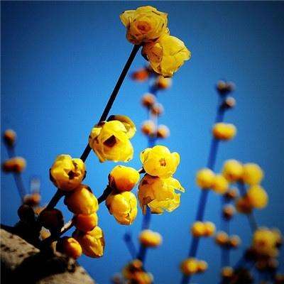 江南官方全站app下载