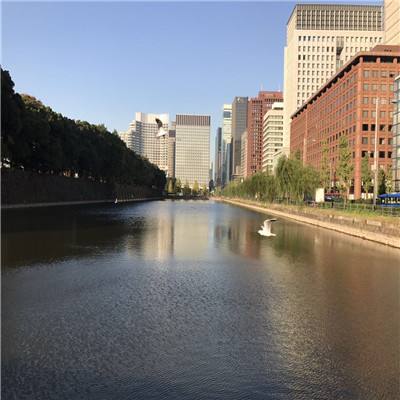 澳门·新甫京娱乐娱城手机app下载