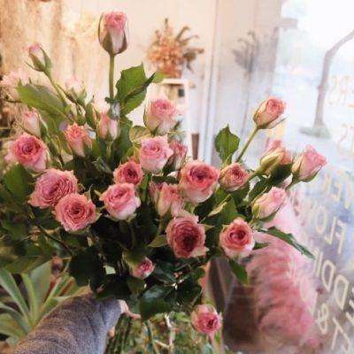 亚搏登入口app截图