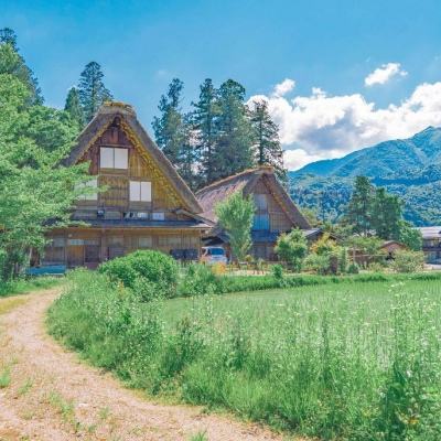 亚搏登入口app截图