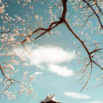 必博手机网页版截图